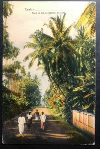 1912 Colombo Ceylon Picture Postcard Cover To England Cinnamon Gardens