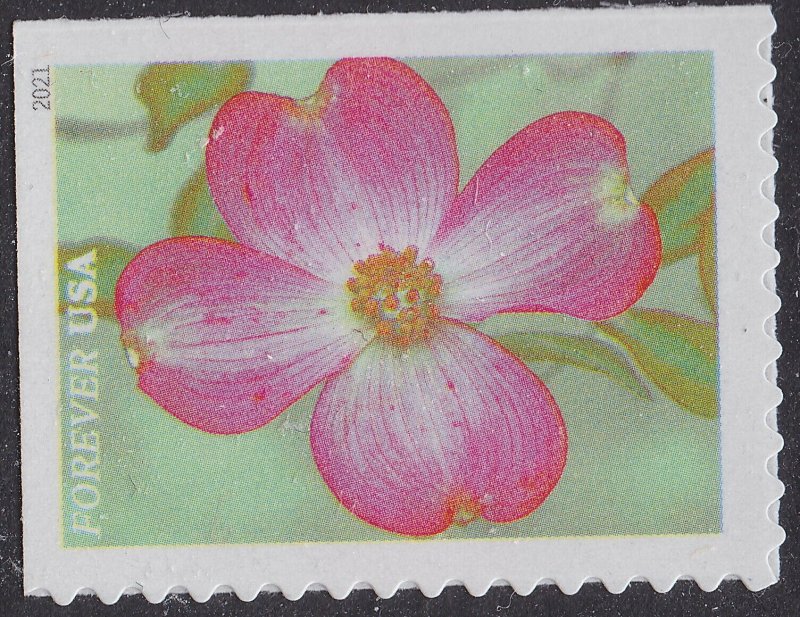 US 5558-5567 Garden Beauty forever set (10 stamps) MNH 2021