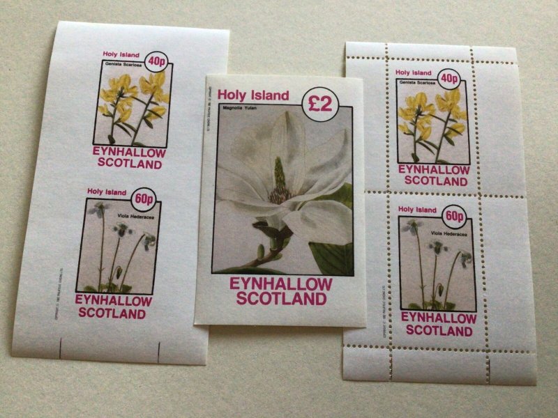 Scotland Flowers mint never hinged stamps sheets Ref R49120