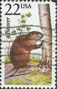 # 2316 USED BEAVER