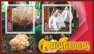 Stamps. Mushrooms 2019 year 1+1 sheets perforated