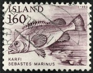 ICELAND #534, USED - 1980 - ICE794