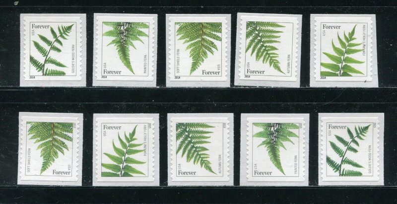 4973-4977, 7973a-7977a Ferns All 10 Single Forever Stamps MNH 2014,  2015