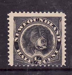 Newfoundland-Sc#58- id8-unused hinged 1/2c black-Newfoundland Dog-1894-