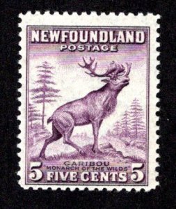 NEWFOUNDLAND  SC# 190  F/MOG