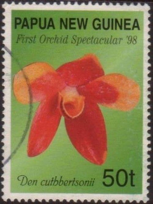 Papua New Guinea 1998 SG838 50t Orchid FU