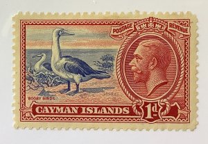 Cayman Islands 1935 Scott 87 MH - 1p,  King George V & Booby birds