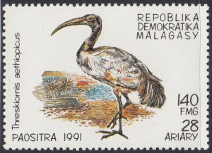 Madagascar 1991 MNH Sc #1032 140fr Threskiornis aethiopicus