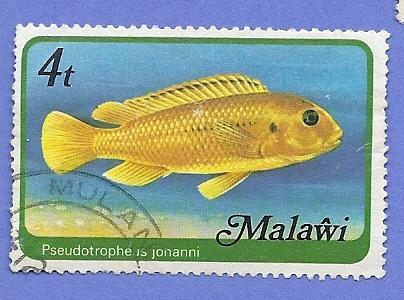 Malawi Scott #307 Fish Used