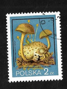 Poland 1980 - U - Scott #2397