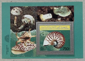 Comoros 1992 Nautilus shells, Mushrooms MS, MNH. Scott 782, CV $10.50