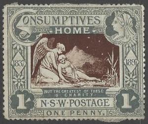 New South Wales #B1 Mint Paper Adherence on Back