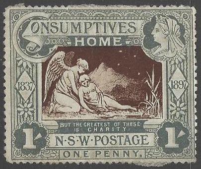 New South Wales #B1 Mint Paper Adherence on Back