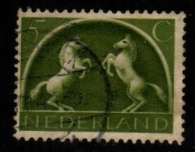Netherlands -#251 Rearing White Horses - Used