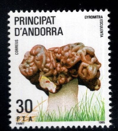 Andorra  (Spanish) Scott 169 MNH** 1985 Gyromitra esculenta Mushroom stamp