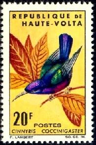 Bird, Splendid Sunbird, Burkina Faso stamp SC#138 mint