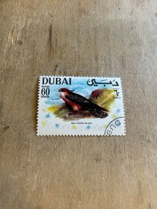 Dubai #315