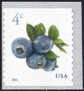 SC#5653 4¢ Blueberries Coil Single (2022) SA