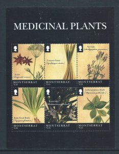 Montserrat #1262 NH Medicinal Plants Sheetlet