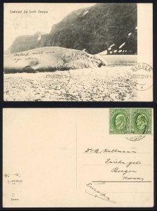 FID 1914 ppc with KEVII 1/2d (2) South Georgia to Norway