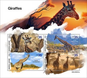 SIERRA LEONE - 2023 - Giraffes - Perf 4v Sheet - Mint Never Hinged