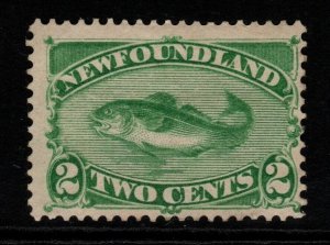 NEWFOUNDLAND SG46 1882 2c YELLOW-GREEN MTD MINT