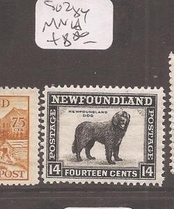 Newfoundland Dog SG 284 MNH (4cgi)