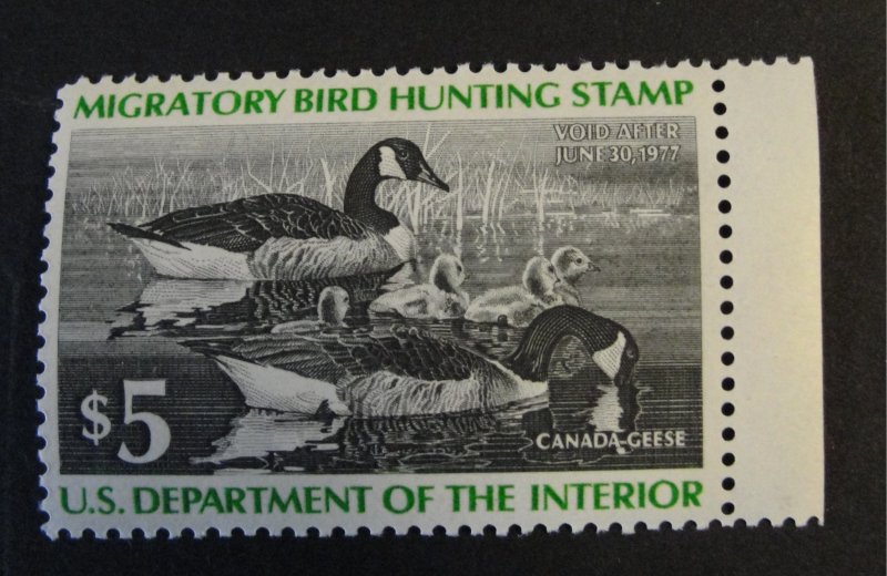 US Sc. # R43 - $5.00 Hunting Stamp MNH w/OG