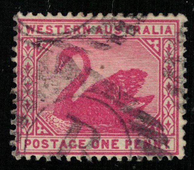 Western Australia, Postage One Penny, 1890-1893, Black Swan, Michel 34 (Т-8452)