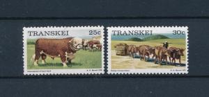 [60288] Transkei 1976 Animals Cows from set MLH