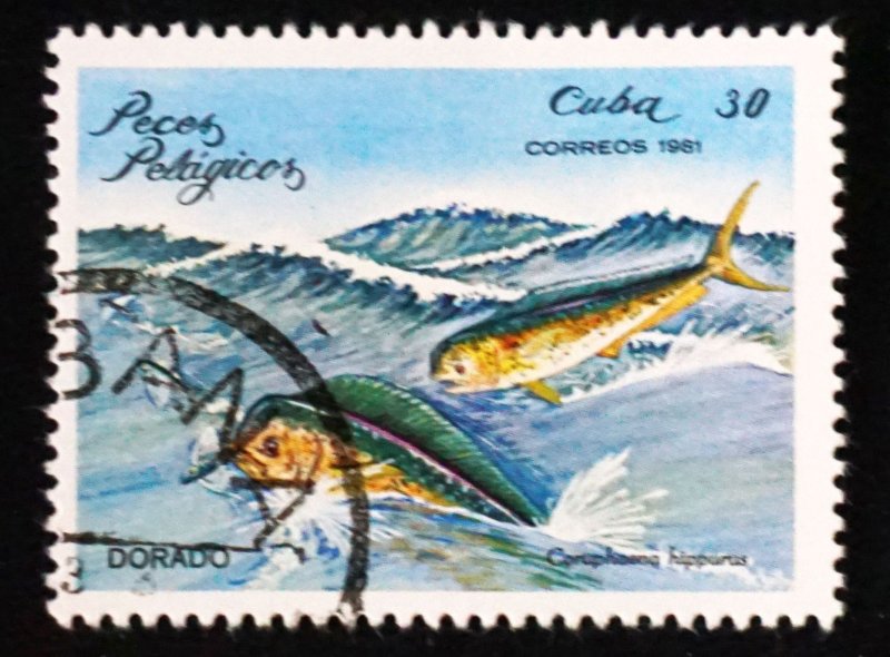 CUBA Sc# 2389  ARCHIPELAGO WILDLIFE marine fish   30c  1981 used cto