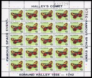 Guyana 1989 Halley's Comet Space ovpt.Silver on Butterflies Shlt. (25) MNH