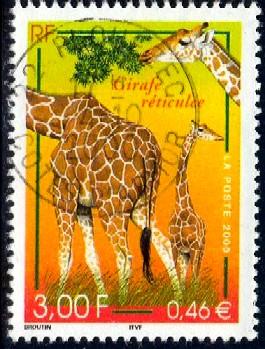 Giraffe, France stamp SC#2777 used