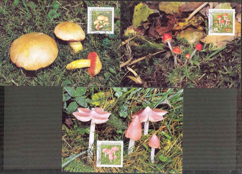 Liechtenstein 2000 Mushrooms 3 Maxi Cards FDC