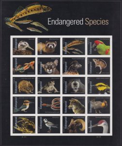 5799 Endangered Species  MNH