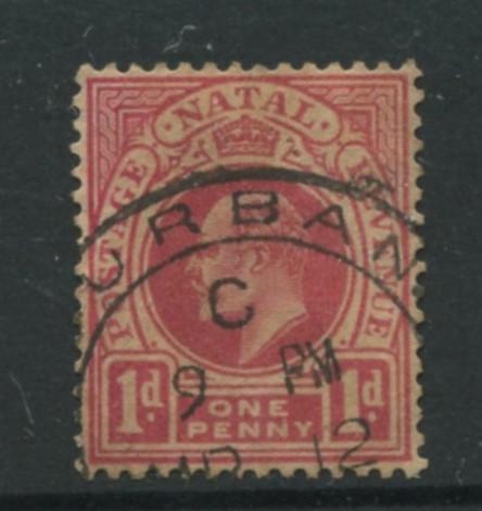 Natal - Scott 102 - KEVII Definitive Issue -1904 - Used - Single 1p  Stamp