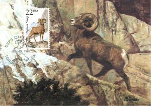 #2288 Bighorn Sheep Maxi FDC