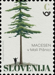 Slovenia 2024 MNH Stamps Trees
