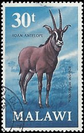 MALAWI   #156 USED (1)