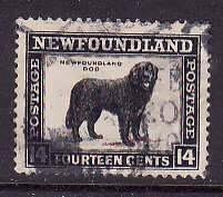 Newfoundland-Sc#194- id7-used 14c Dog-1932-7-    