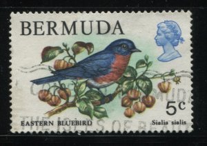 Bermuda 365 USED