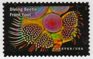 SC# 5802i - (68c) - Life Magnified, Beetle Front Foot - 9 of 20 - Used Off Paper