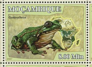 Frogs Stamp Dendrobatidae Mantella Gastrotheca Pyxicephalus S/S MNH #2957-2962