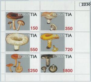 2230- RUSSIAN STATE, MINIATURE SHEET: Mushrooms