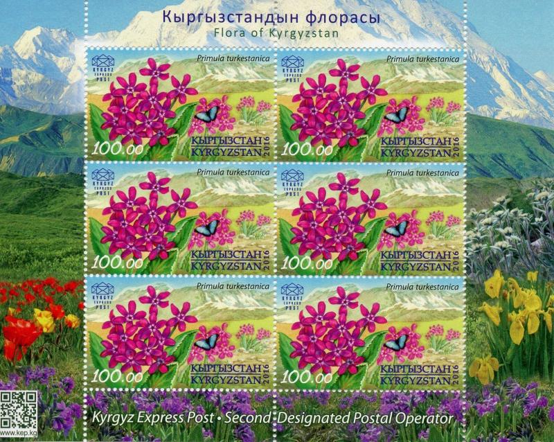 Kyrgyzstan KEP 2016 MNH Flora Turkestan Primula 6v M/S Flowers Stamps 