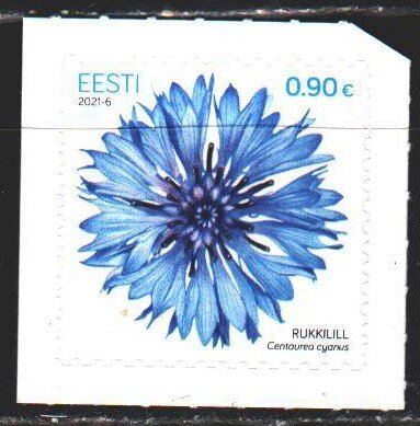 Estonia. 2021. 1008. Cornflower, flowers. MNH.