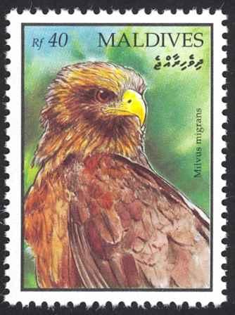 Maldive Islands Sc# 1635 MNH 1994 40r Milvus Migrans