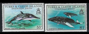 Turks and Caicos 383-84 MNH 1979 Dolphin and Whales (an7315)