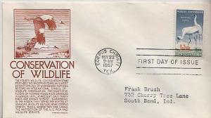 United States, First Day Cover, Birds
