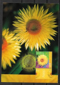 20001 Australia #1830 Daisy maxi card